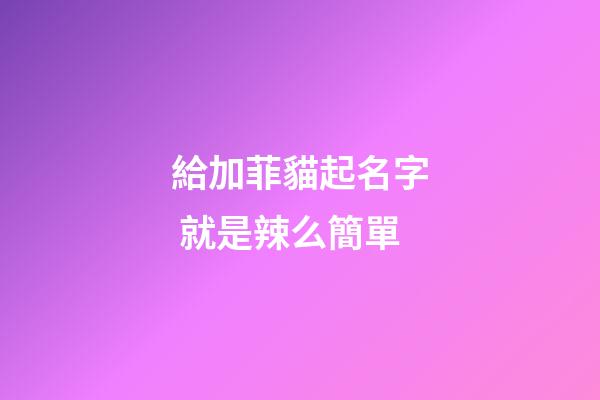 給加菲貓起名字 就是辣么簡單